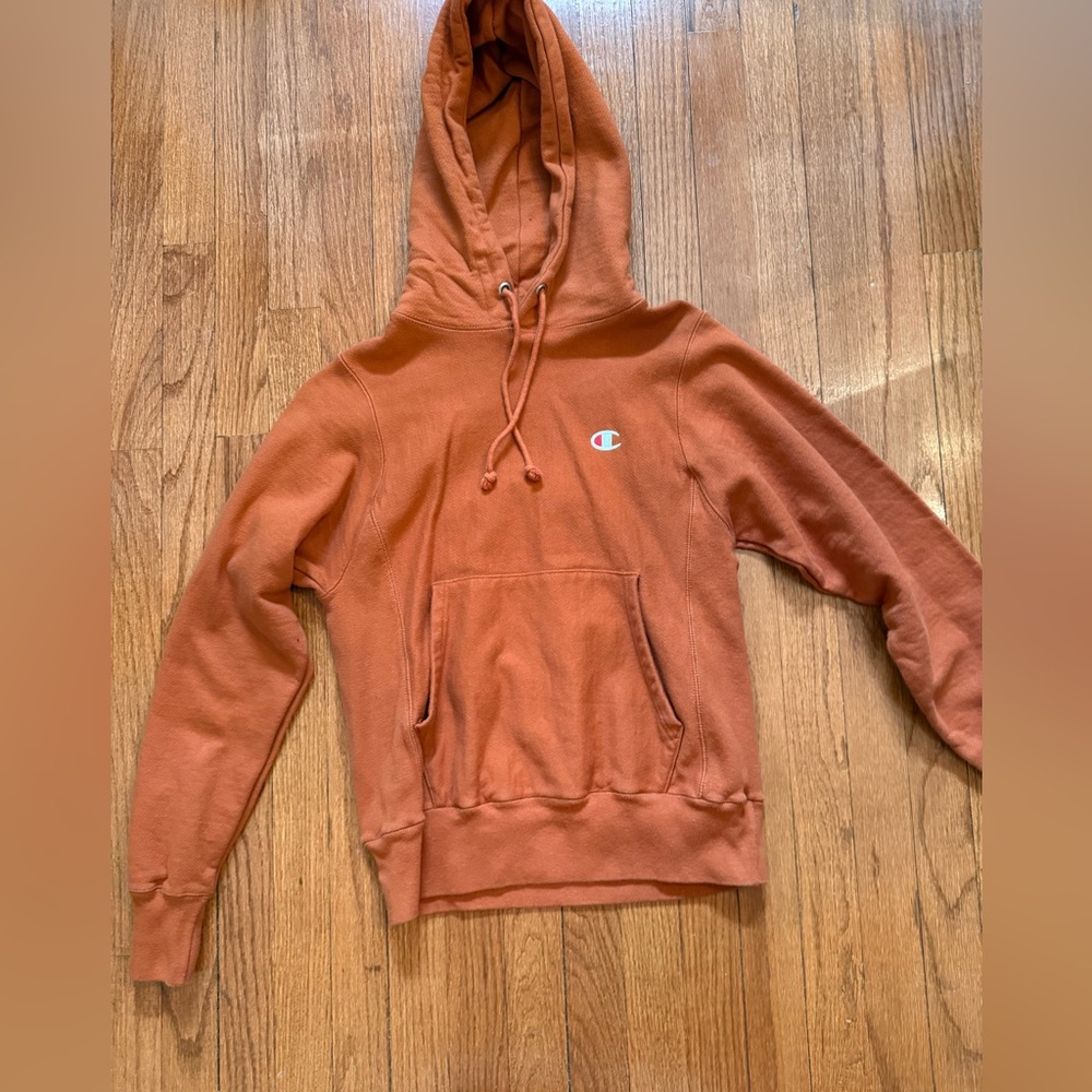 Champion Men's Rust Hoodie Sweater